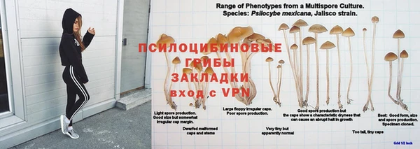 кокс Беломорск