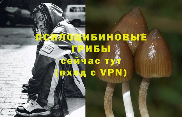 ALPHA-PVP Белоозёрский