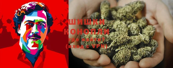 молекула духа Белокуриха