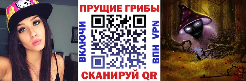 магазин    ссылка на мегу ТОР  Галлюциногенные грибы мухоморы  Кировград 